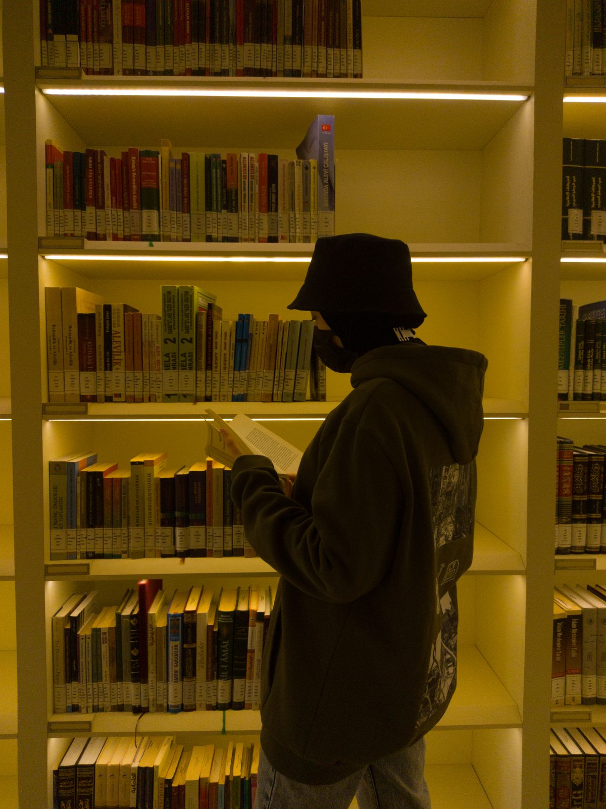 A person browsing library shelves