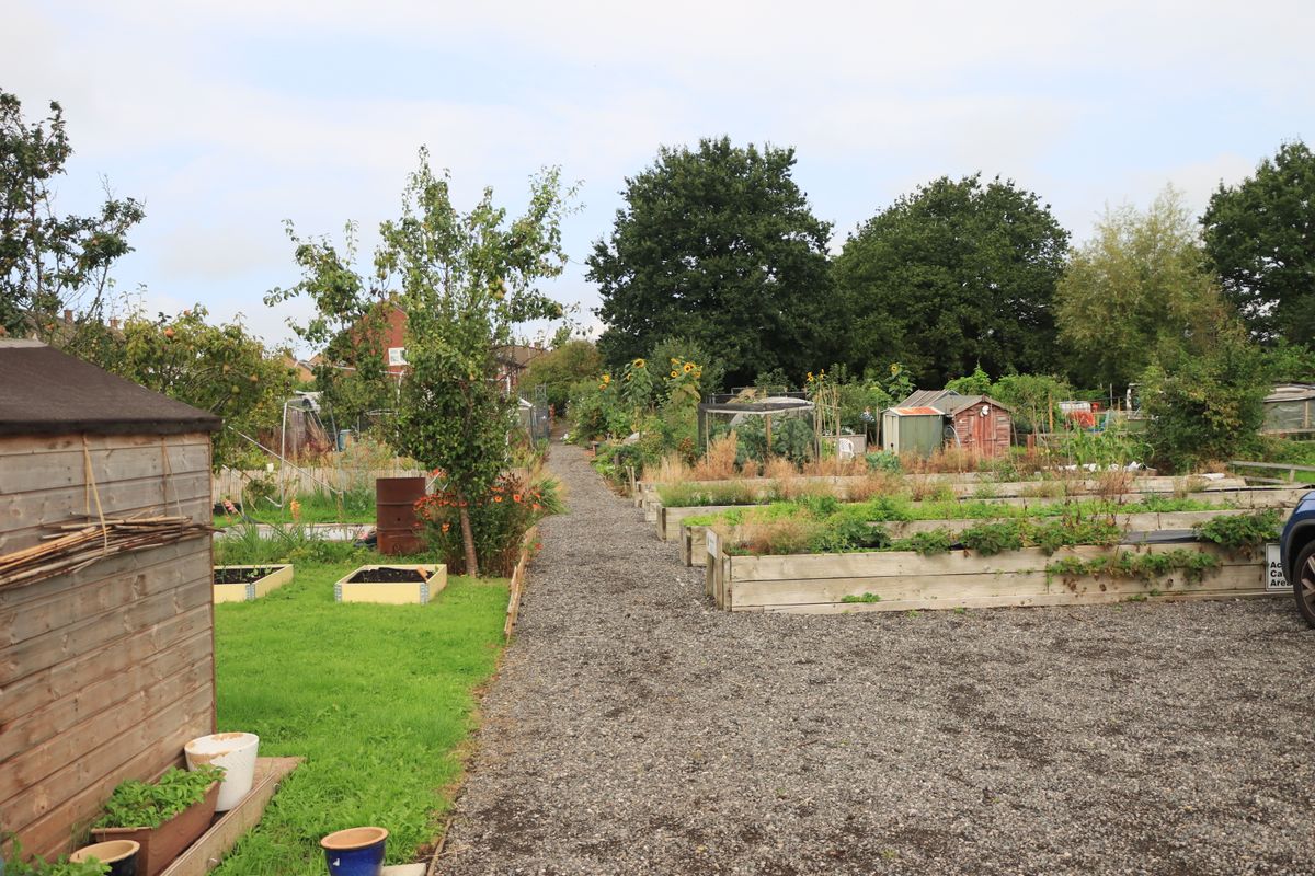 A garden with raised planting beds